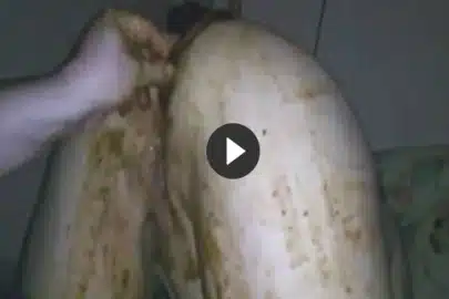 Enema Girl Fetisch Porno Spiele direkt erleben
