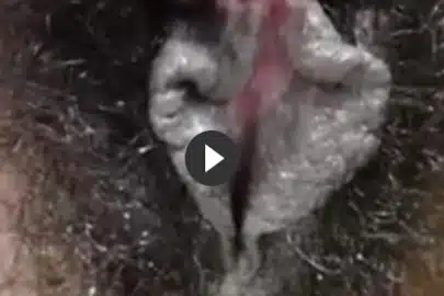 Extrem haarige Stinke Fotze vor der Kamera erleben