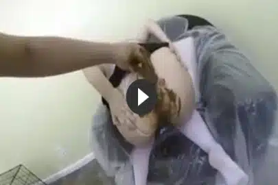 Versauter Kaviar Fick mit einer geilen Amateurin